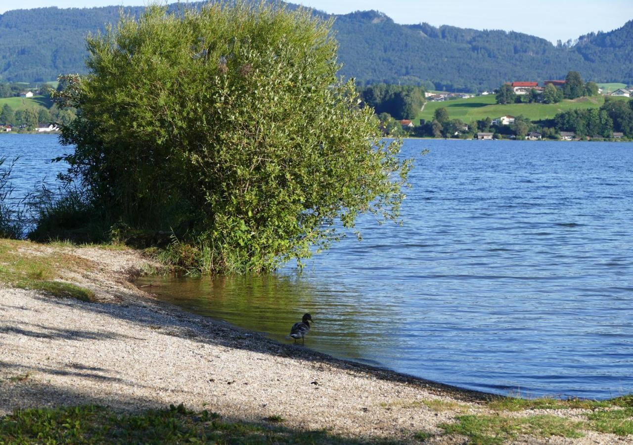 Refugio Del Lago Seekirchen am Wallersee Extérieur photo