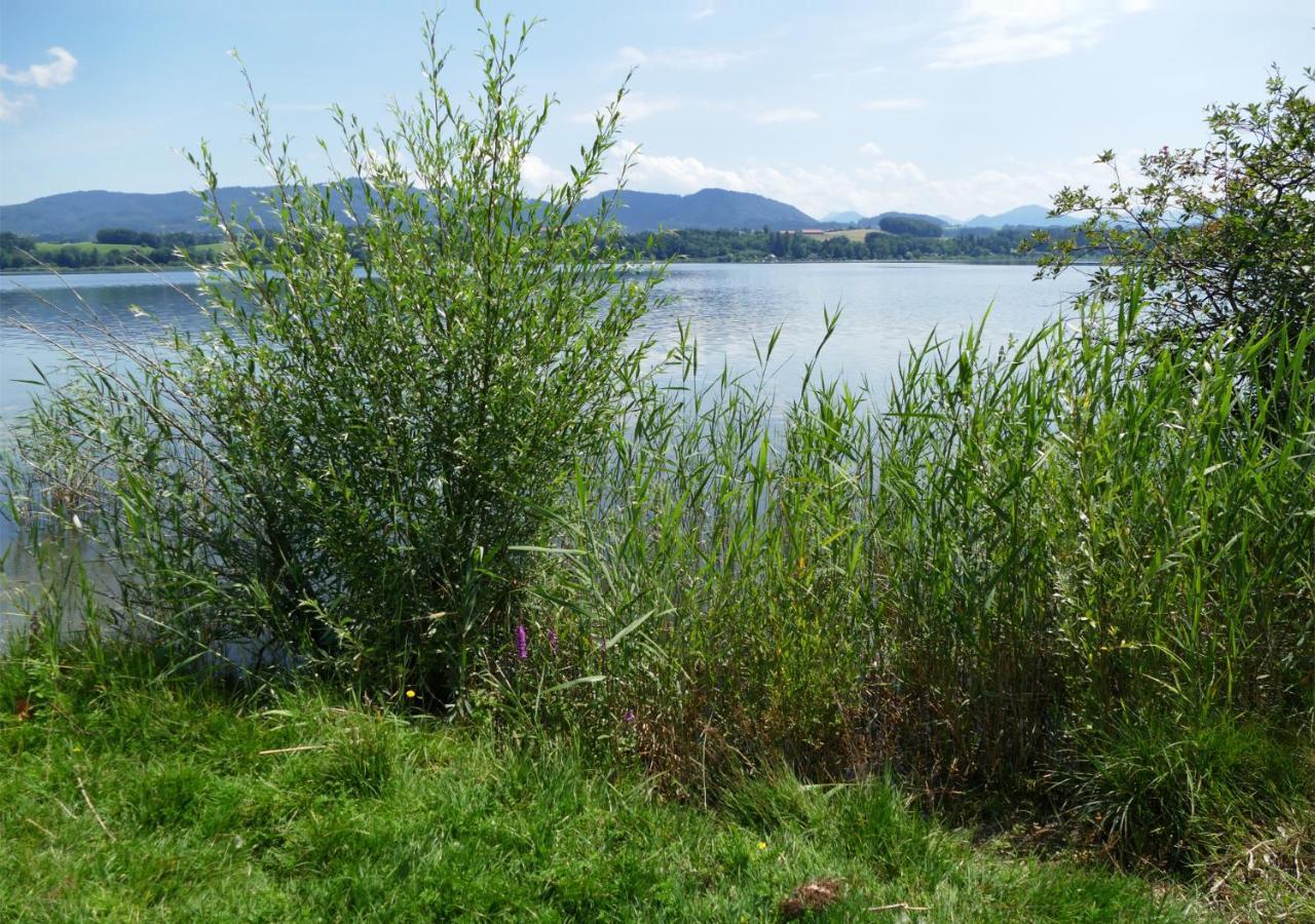 Refugio Del Lago Seekirchen am Wallersee Extérieur photo