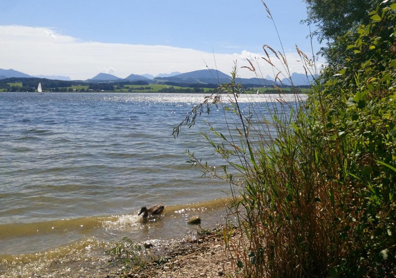 Refugio Del Lago Seekirchen am Wallersee Extérieur photo